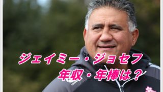 ジェイミージョセフの年収・年棒は?現役時代の経歴や名言についても