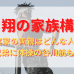 谷川翔のプロフィール・経歴まとめ！主な実績も紹介
