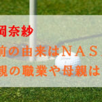 畑岡奈紗の名前はNASAが由来？父親の職業や母親は？妹もゴルファー！