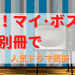 オー！マイ・ボス！恋は別冊で